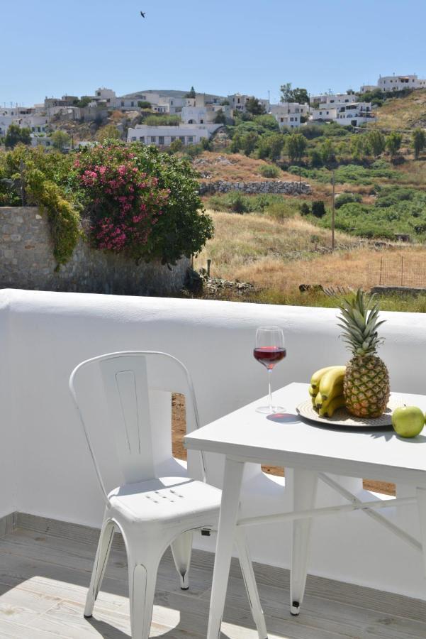 Naxian Album Villa Kaliope With Private Pool In Naxos Glinado Naxos Extérieur photo
